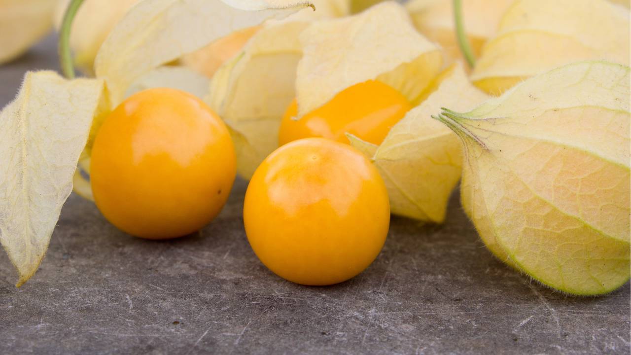 Essa fruta miúda e doce dá frutos o ano inteiro e chama atenção de quem cultiva
