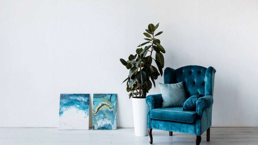 Plantas para sala pequena que decoram sem ocupar espaço e deixam o ambiente mais vivo