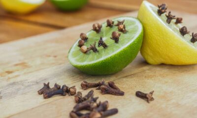 Esse tempero comum virou aliado contra insetos dentro de casa