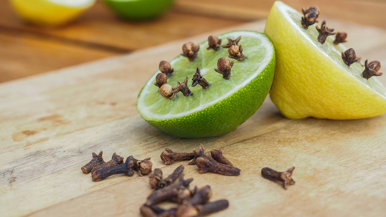 Esse tempero comum virou aliado contra insetos dentro de casa