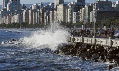 O maior porto da América Latina e o maior jardim de praia do mundo se juntam em uma mesma cidade inesperada no litoral de São Paulo