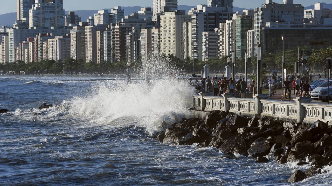 O maior porto da América Latina e o maior jardim de praia do mundo se juntam em uma mesma cidade inesperada no litoral de São Paulo