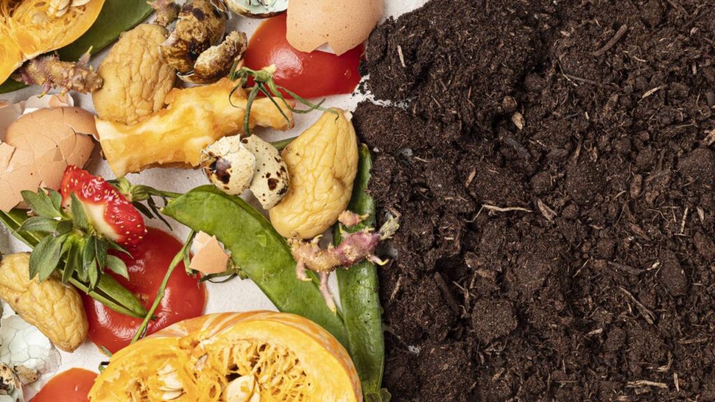 Esse adubo feito com sobras de frutas devolve vida às plantas e deixa o solo muito mais fértil