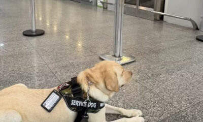 Justiça do RJ condena TAP a indenizar em R$ 60 mil família de criança autista