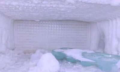 Interior de congelador com forte acúmulo de gelo nas paredes, fundo e teto.