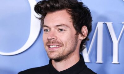 Close-up do cantor Harry Styles sorrindo, cabelo escuro, olhos claros, barba rala.