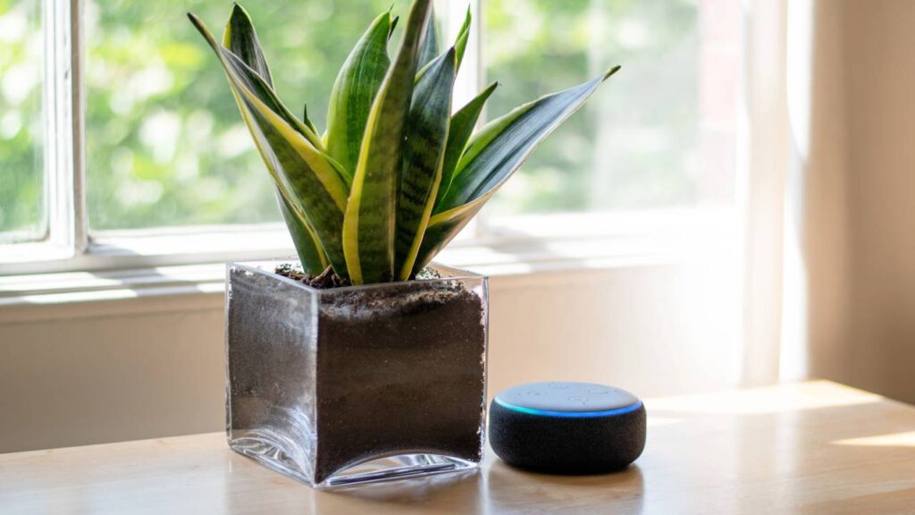 Funções da Alexa que você não conhece e podem facilitar muito sua rotina em casa