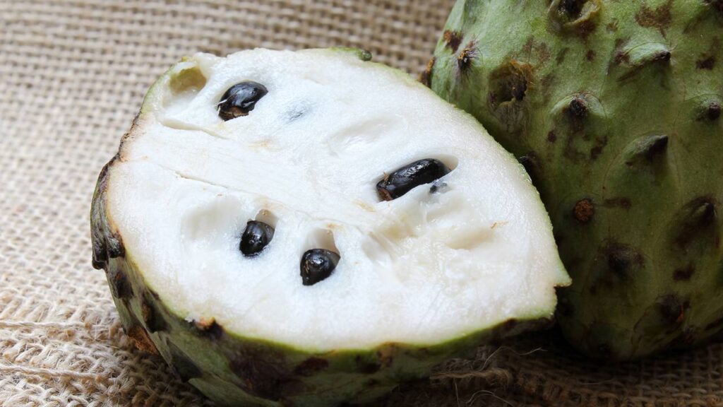 A atemoia-anã que cabe no quintal pequeno e surpreende na produção