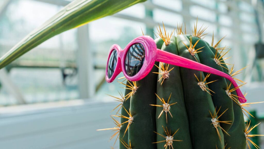 Essa planta forte representa defesa e força interior