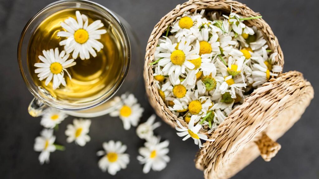 Esse chá simples mudou a forma como muita gente termina o dia