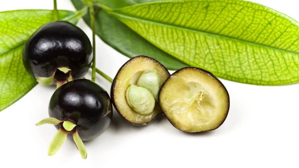 Existe uma fruta parecida com a jabuticaba que pouca gente conhece