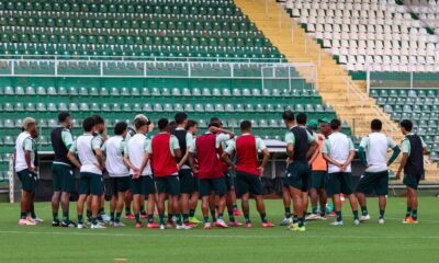 Foto: Luiz Ferrazzo / Chapecoense
