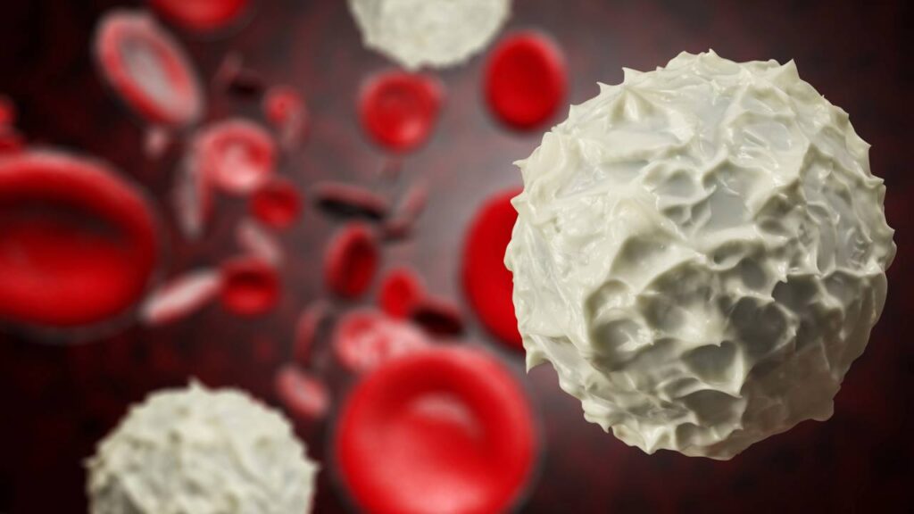 Leucócitos altos no sangue, o que pode ser e quando esse resultado merece atenção