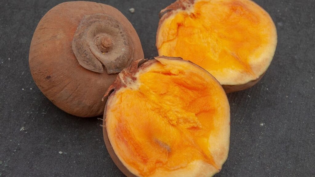 Essa fruta amazônica cresce bem no quintal e chama atenção pelo sabor