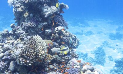 Qual é a profundidade do oceano e por que esse número impressiona até cientistas