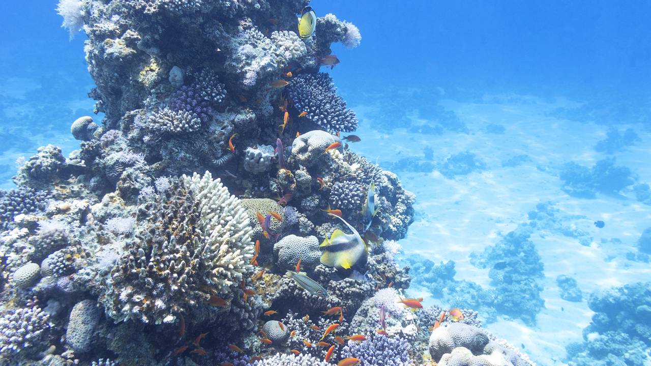 Qual é a profundidade do oceano e por que esse número impressiona até cientistas