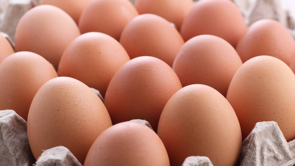 O alimento que realmente substitui a carne e pode entrar no prato sem perda nutricional