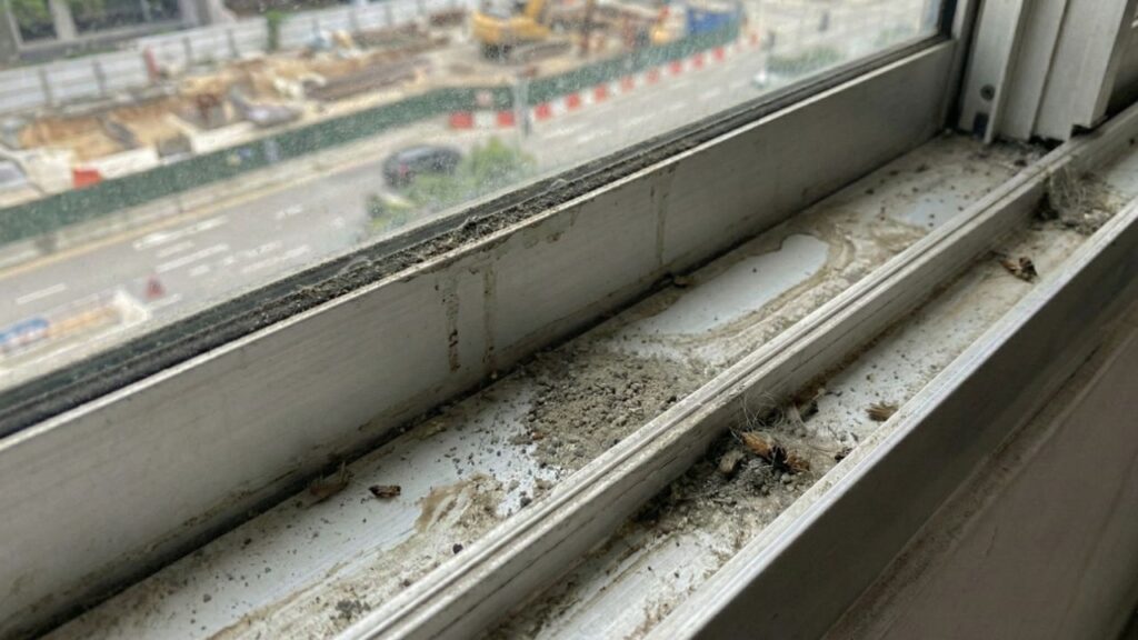 Adeus sujeira! Veja por que você deve colocar papel toalha com água no trilho da janela