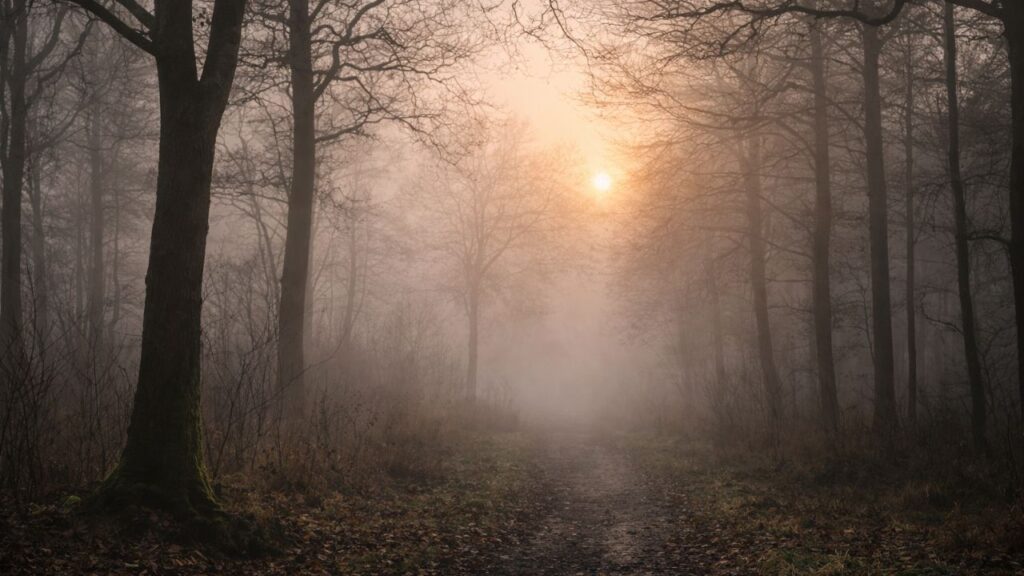 Já percebeu dias em que o silêncio parece maior que o normal?