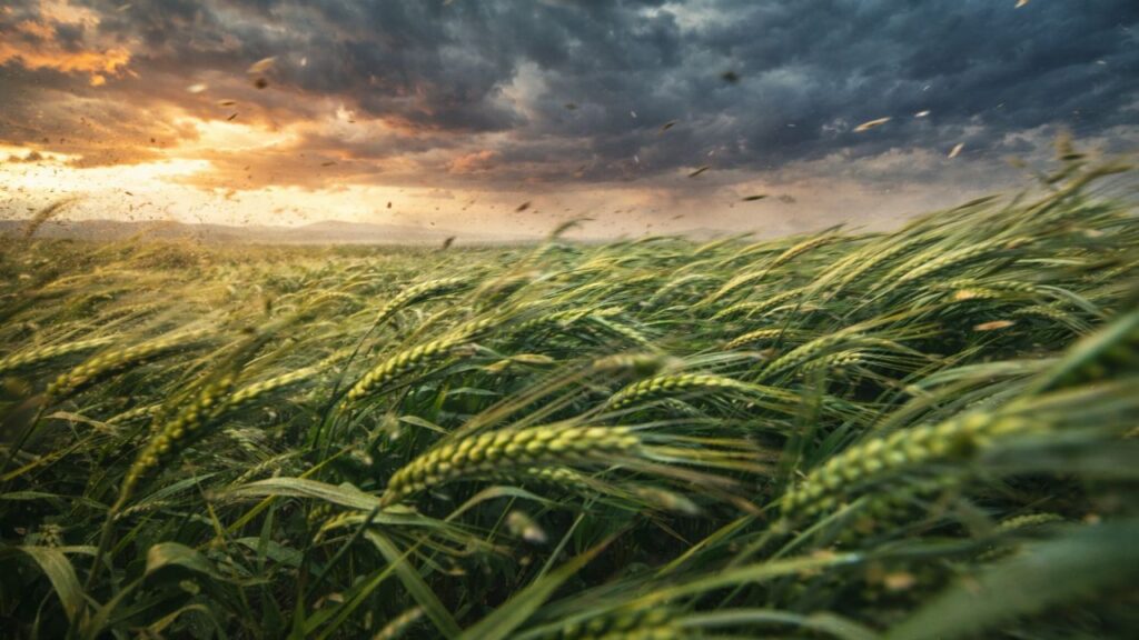 O que faz o vento ficar forte e fraco no mesmo instante