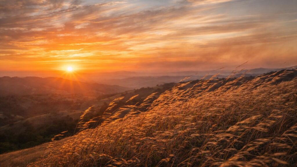 Vento quente no fim da tarde não é acaso e segue um padrão