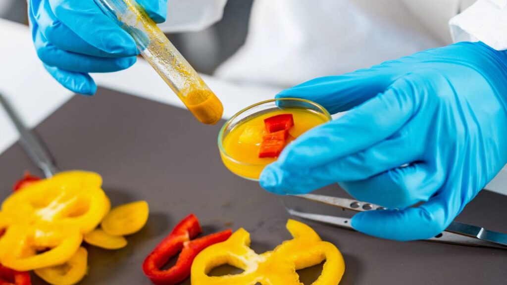 O que são alimentos transgênicos e por que esse assunto divide tantas opiniões nos dias de hoje