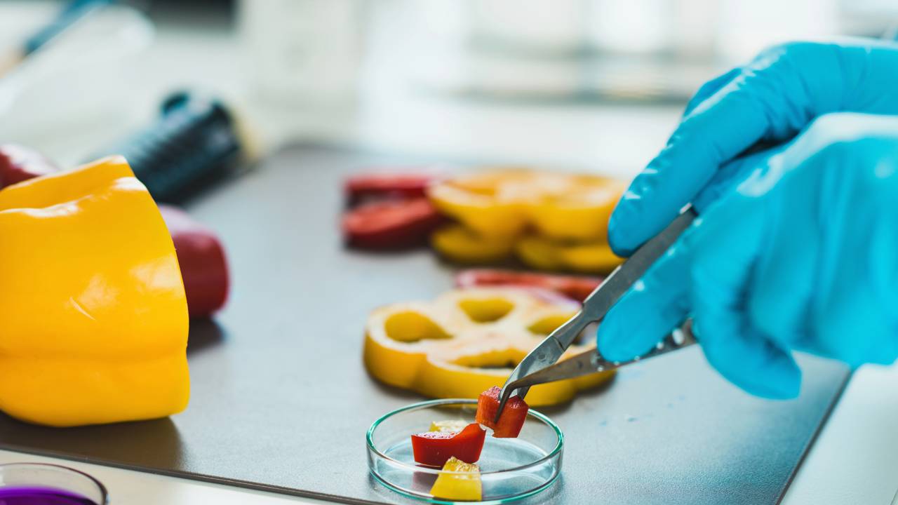 O que são alimentos transgênicos e por que esse assunto divide tantas opiniões nos dias de hoje