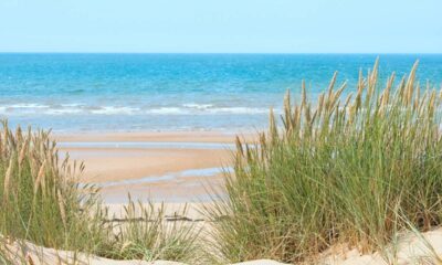Vista de uma praia arenosa com grama alta nas dunas, mar azul e céu claro.