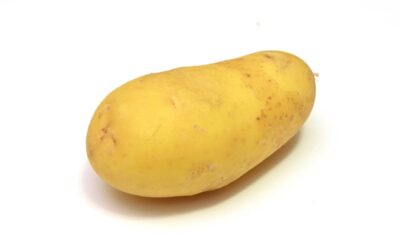 Tem batata em casa? Faça essa receita fácil e rápida que resolve qualquer refeição