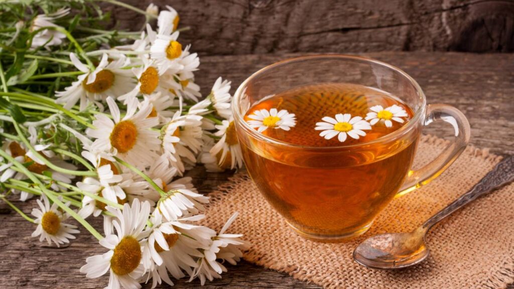 Tomar chá de camomila todo dia pode provocar mudanças no corpo que muita gente não percebe