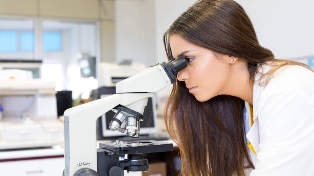 Fatos científicos tão estranhos que parecem inventados, mas são reais