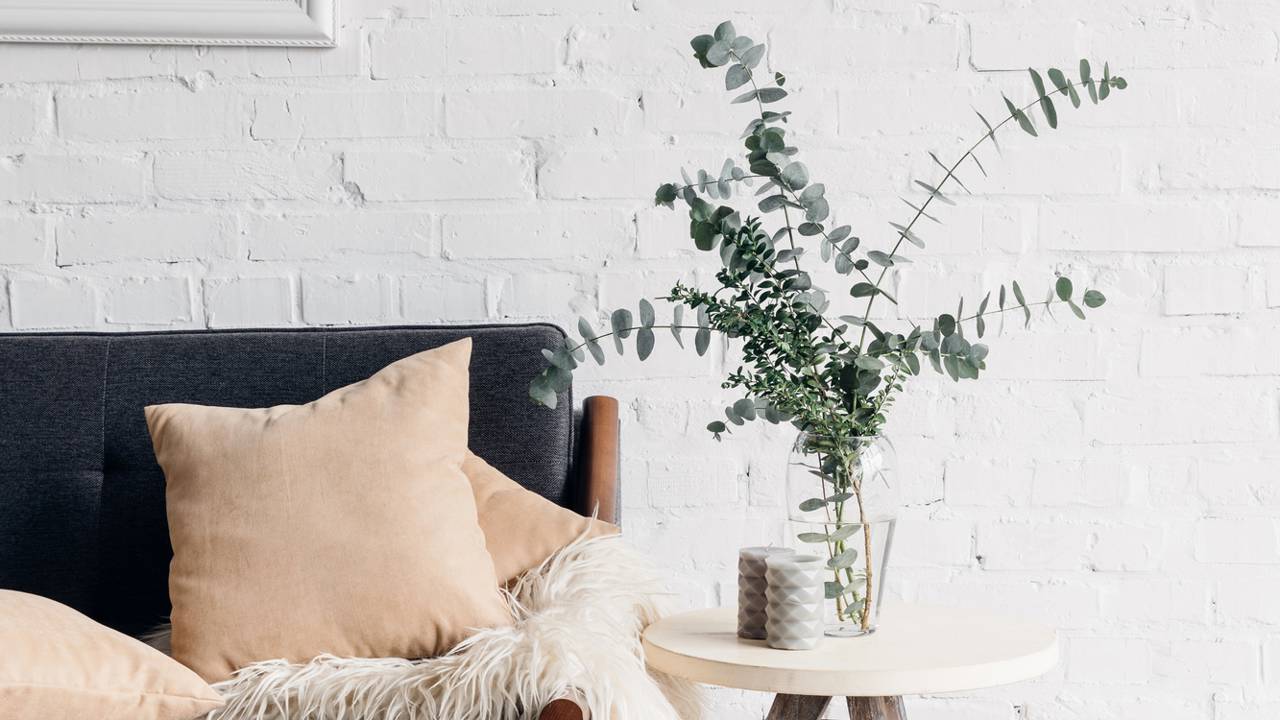 Plantas na decoração: como integrar o verde aos ambientes internos com harmonia