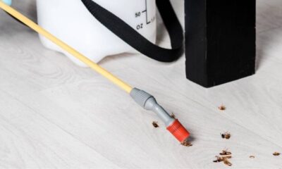 Pulverizador de pragas no chão com baratas mortas e um balde branco.