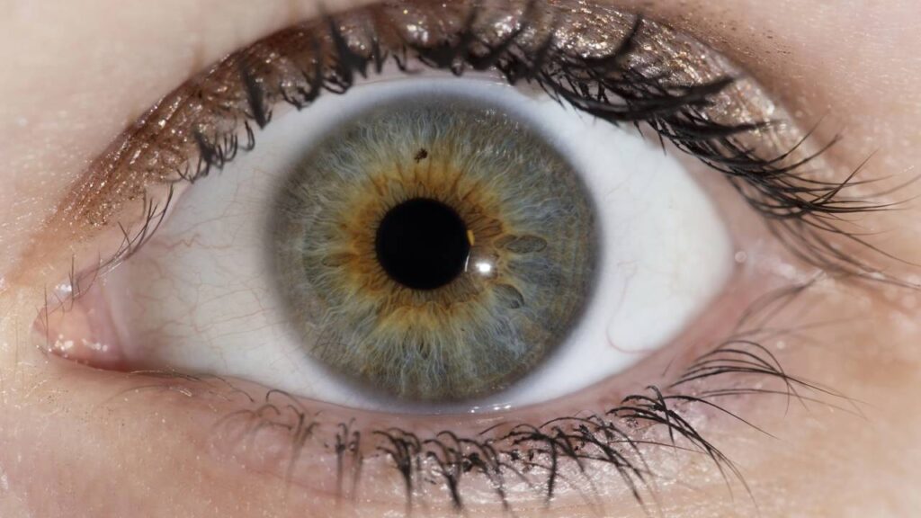 O que significa flashes na visão e quando esse sintoma pode indicar um problema