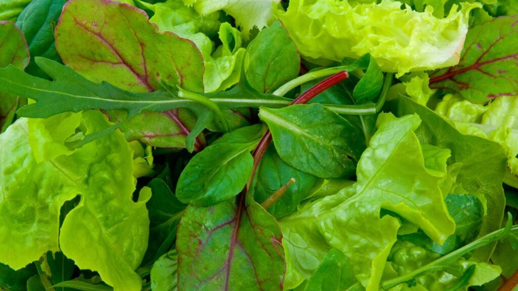 Alimentos que não engordam e você pode comer sem medo no dia a dia