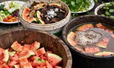 Sobrou melancia? Isso pode virar um adubo que hidrata e fortalece o solo