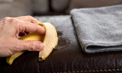 Passar casca de banana no sofá: para que serve e por que é recomendado
