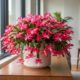 Como ter flor-de-maio linda em apartamento gastando pouco, com custos reais e escolhas que valem a pena