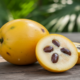 Essa fruta amazônica se adapta bem ao quintal e surpreende no sabor