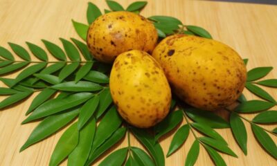 Essa fruta nativa tem gosto de manga com maracujá e é rica em vitaminas