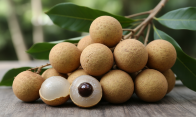 O longan que saiu da Ásia e encontrou espaço no cultivo brasileiro