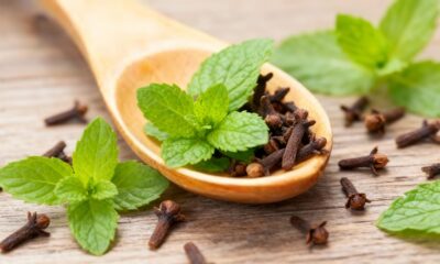 Essas plantas aromáticas ajudam a manter formigas longe da casa naturalmente