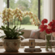 Essas flores decoram a casa por mais tempo sem precisar trocar sempre