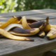 Esse uso da casca de banana ajuda muitas plantas a florescer melhor