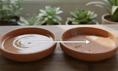 Mesmo parada, essa água vai sumindo aos poucos