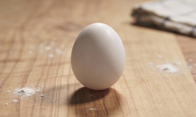 Como saber se o ovo está podre sem quebrar e evitar riscos à saúde