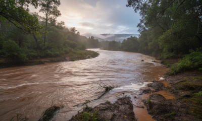 A mudança na cor dos rios após a chuva tem um motivo simples que pouca gente percebe
