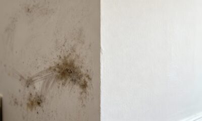 Você vai se surpreender ao descobrir como limpar paredes sem estragar a pintura