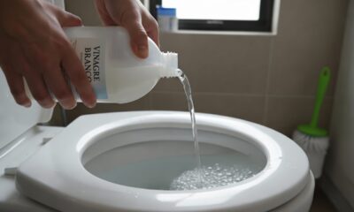 Veja por que colocar vinagre branco no vaso sanitário é essencial na sua rotina de limpeza