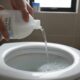 Veja por que colocar vinagre branco no vaso sanitário é essencial na sua rotina de limpeza